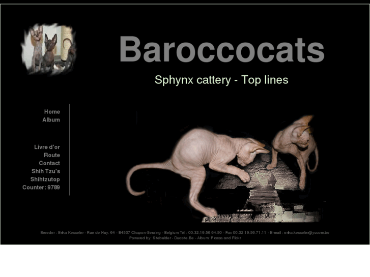 www.baroccocats.com