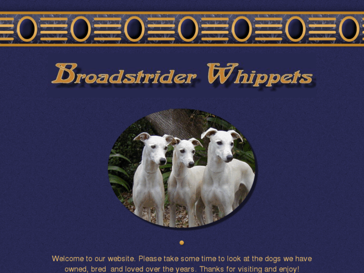 www.broadstriderwhippets.com