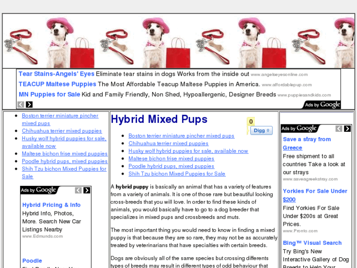 www.hybridmixedpups.com