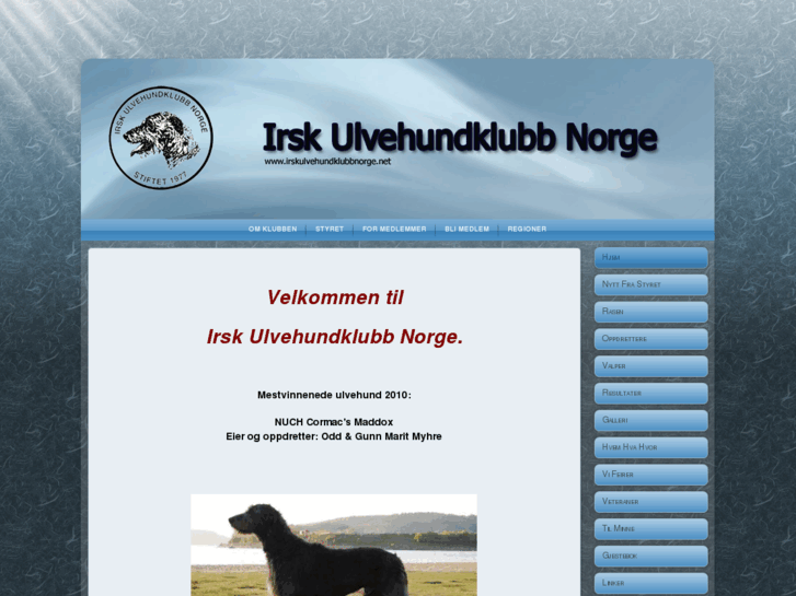 www.irskulvehundklubbnorge.net