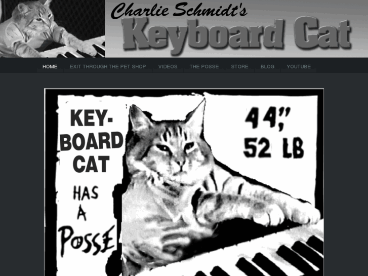 www.keyboardcatposse.com