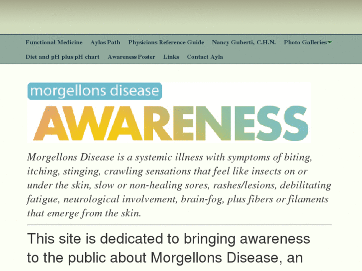 www.morgellonsdiseaseawareness.com