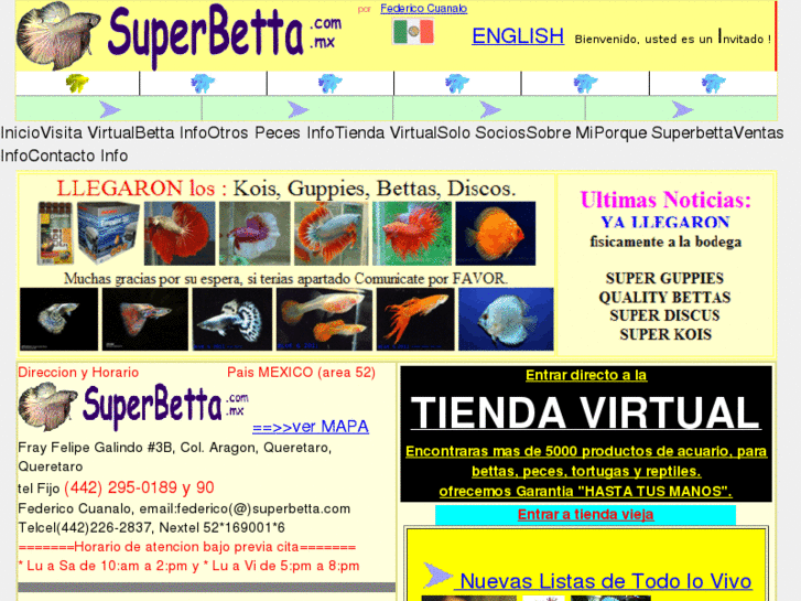 www.superbeta.com.mx