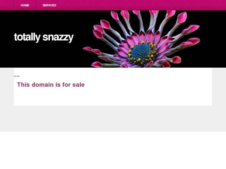 www.totallysnazzy.com