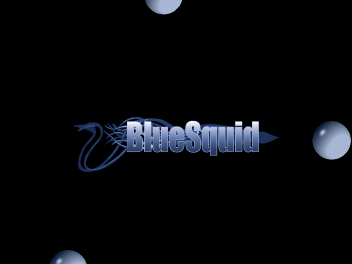 www.bluesquid.com