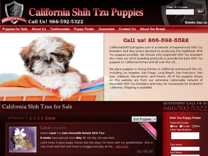 www.californiashihtzupuppies.com