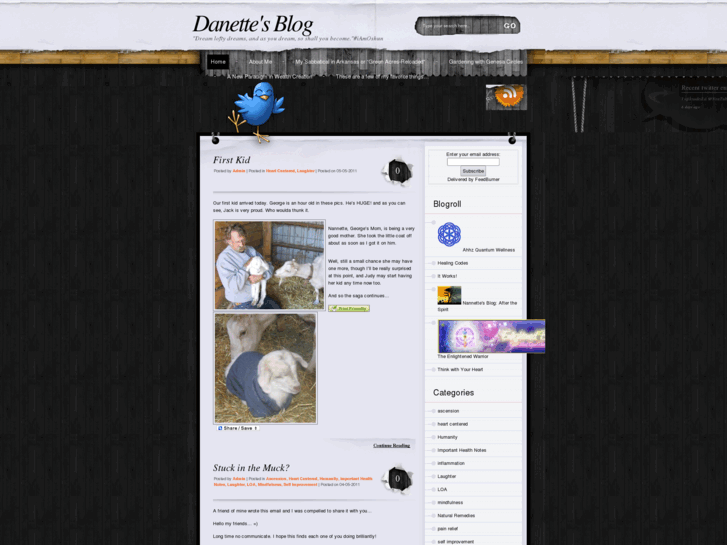 www.danettesteele.com
