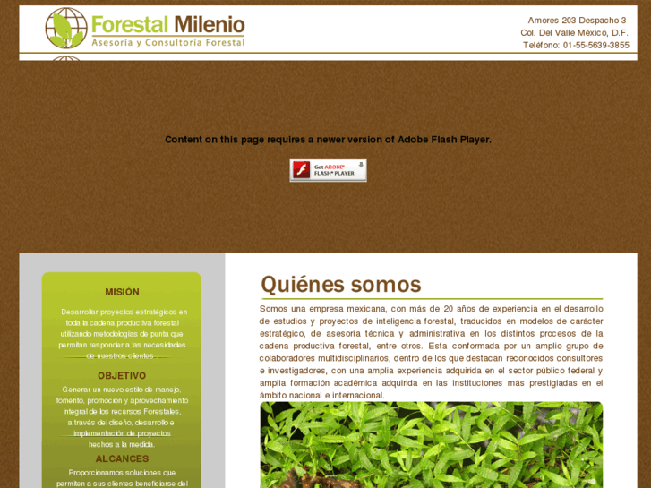 www.forestalmilenio.com