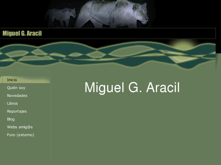 www.miguelaracil.com