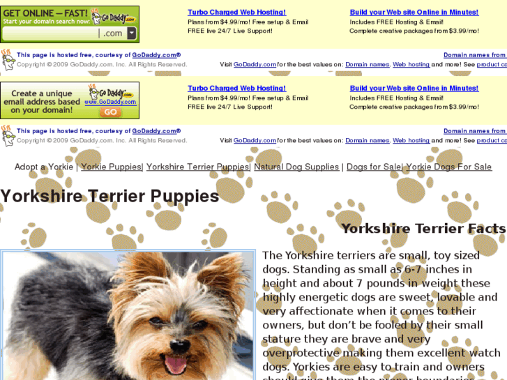 www.adoptayorkie.net