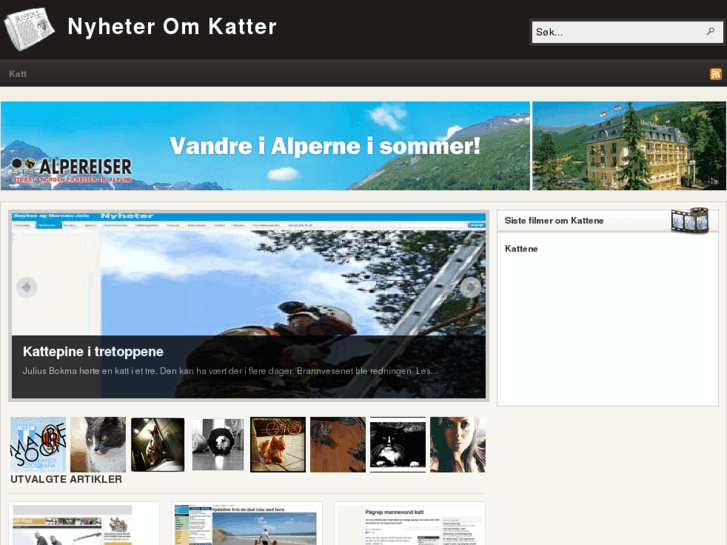 www.nyheteromkatter.com