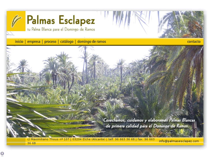 www.palmasesclapez.com