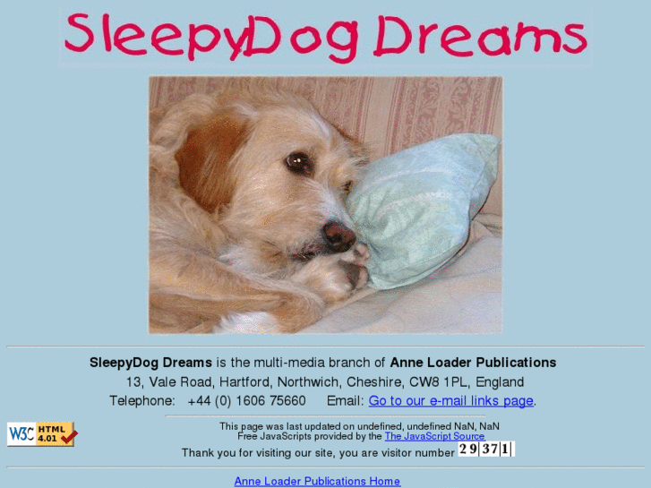 www.sleepydogdreams.com