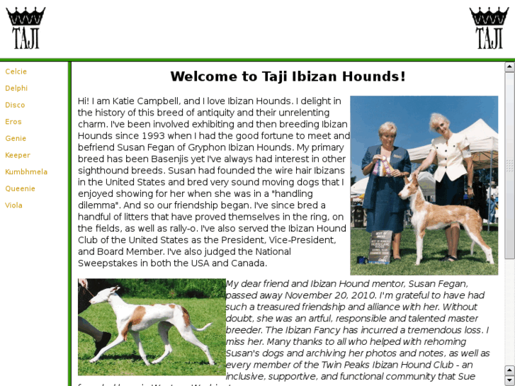 www.theibizanhound.com