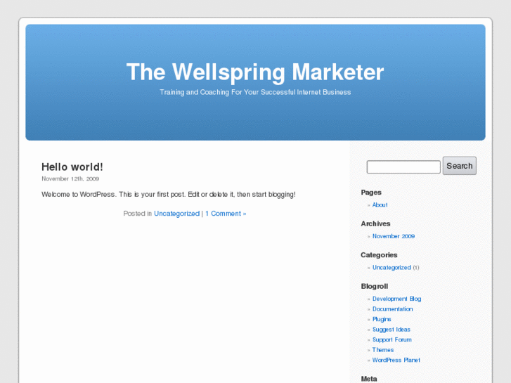 www.thewellspringmarketer.com