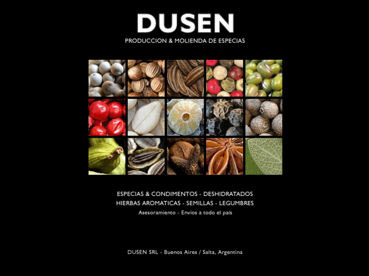 www.dusen.net