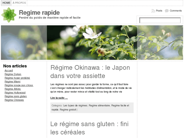 www.regime-rapide.org