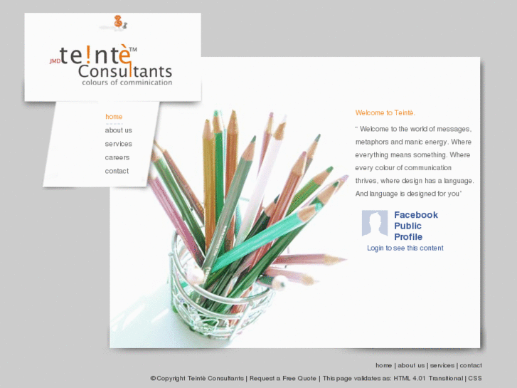 www.teintedesigns.com