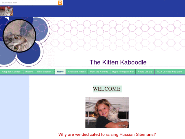 www.thekittenkaboddle.com