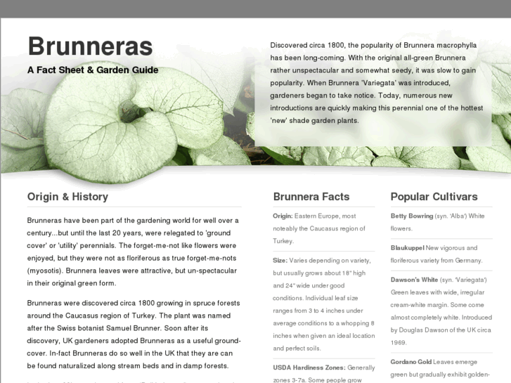 www.brunneras.com