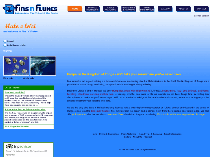 www.finsnflukes.com