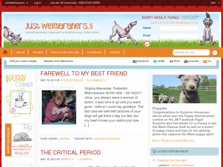 www.justweimaraners.com