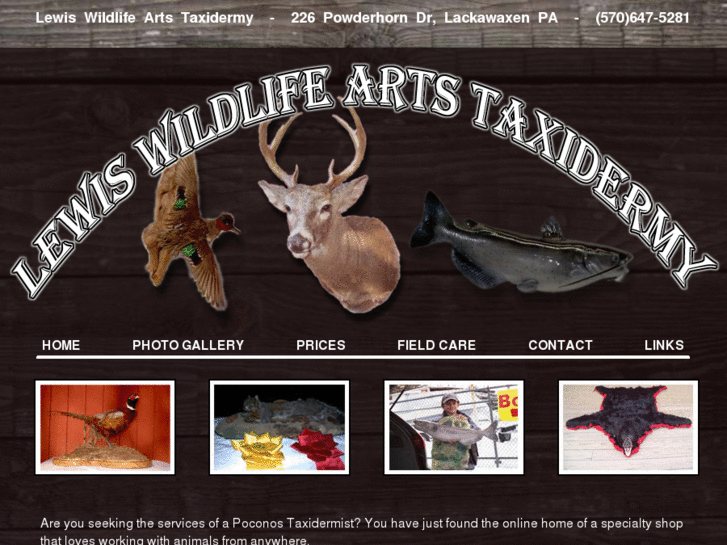 www.lewiswildlifearts.com