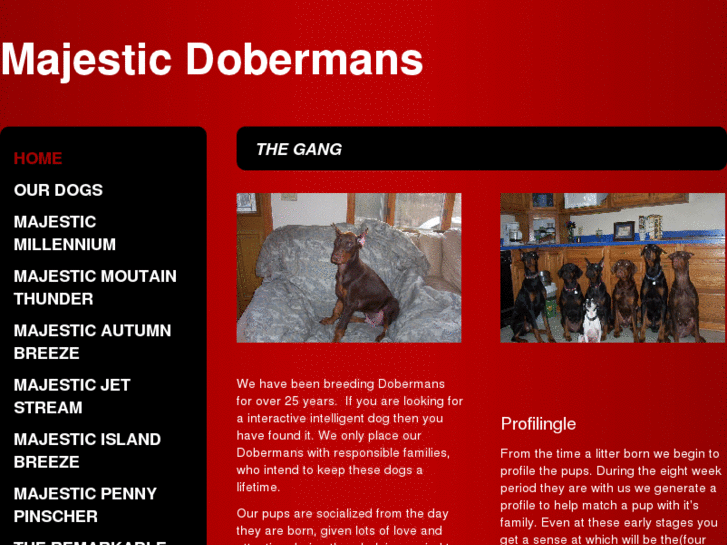 www.majesticdobermans.com