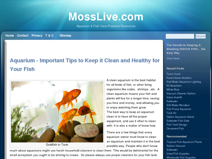 www.mosslive.com