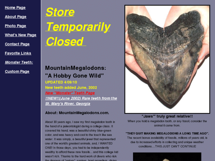 www.mountainmegalodons.com
