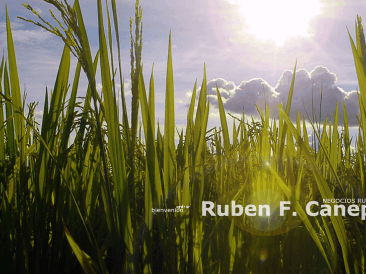 www.rubenfcanepa.com