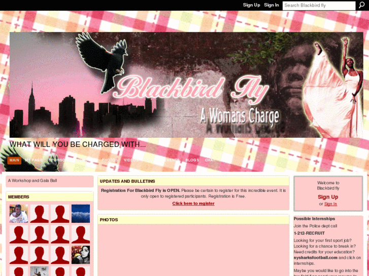 www.bbirdfly.com