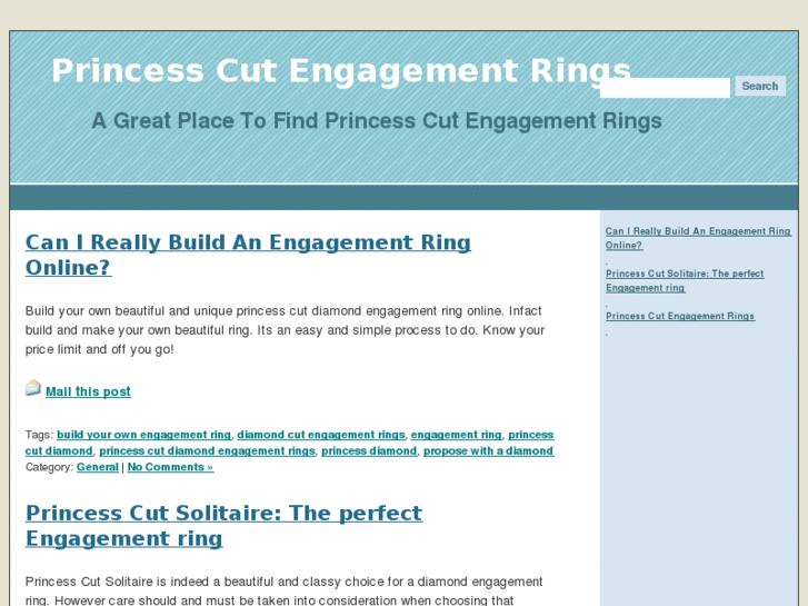 www.bestprincesscut-engagementrings.com