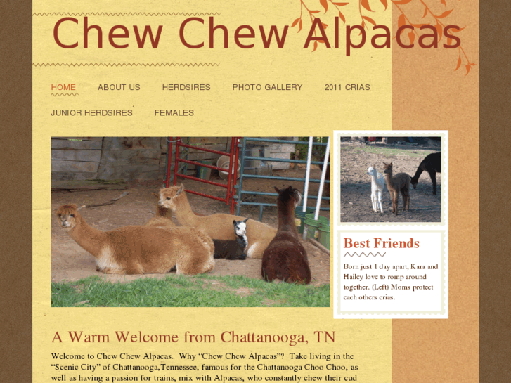 www.chewchewalpacas.com