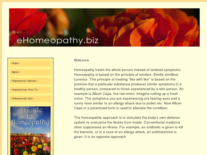 www.ehomeopathy.biz