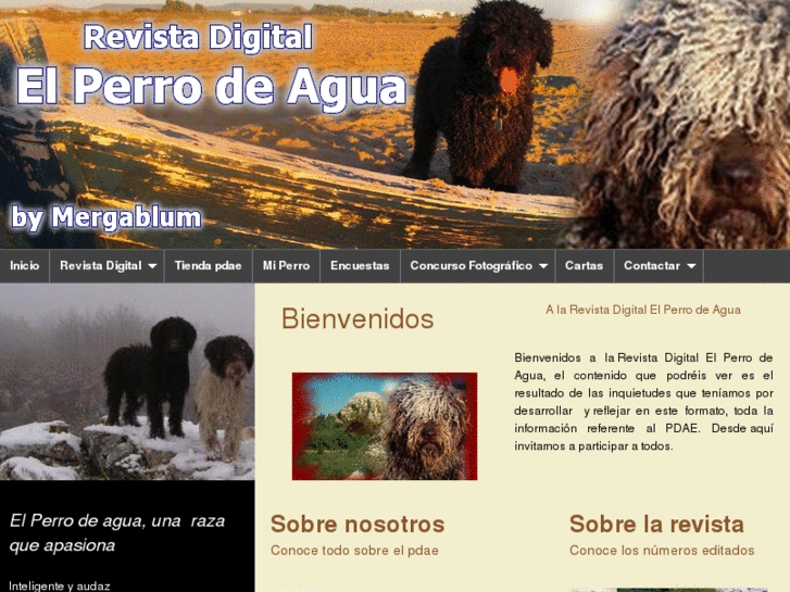 www.elperrodeagua.com