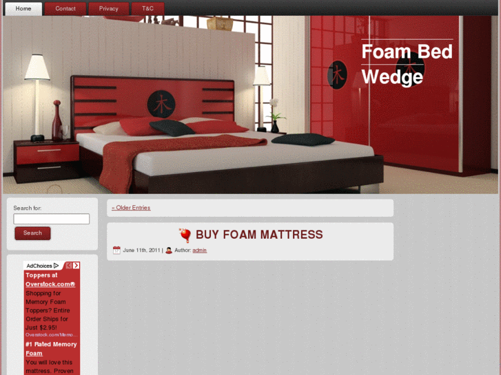 www.foambedwedge.info