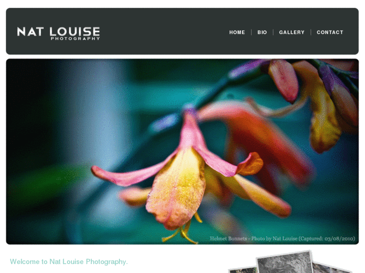 www.nat-louise.net