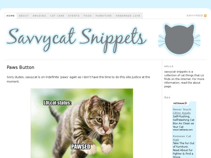 www.savvycat.net