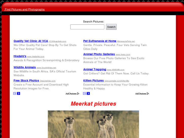 www.meerkatpictures.com