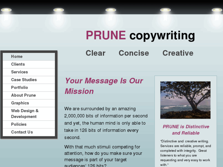 www.prunecopywriting.com