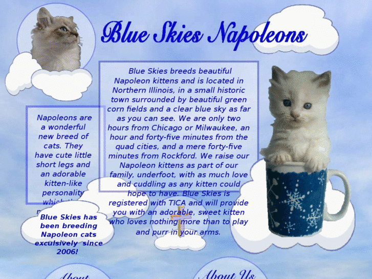 www.blueskycats.com