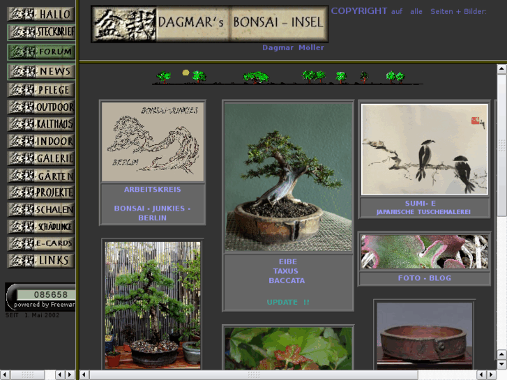 www.bonsai-insel.de