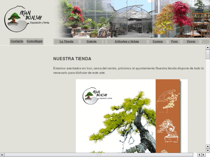 www.irunbonsai.com