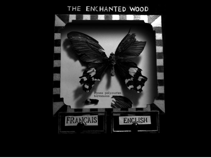 www.theenchantedwood.org