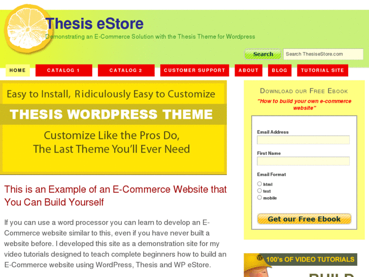 www.thesisestore.com