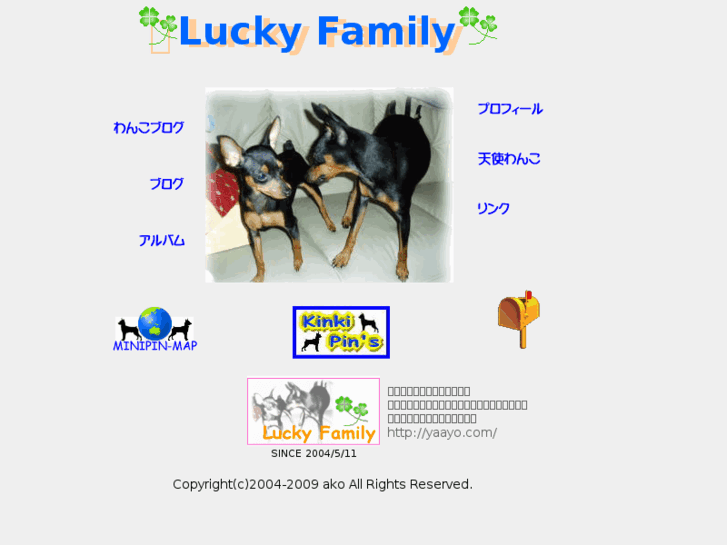 www.yaayo.com