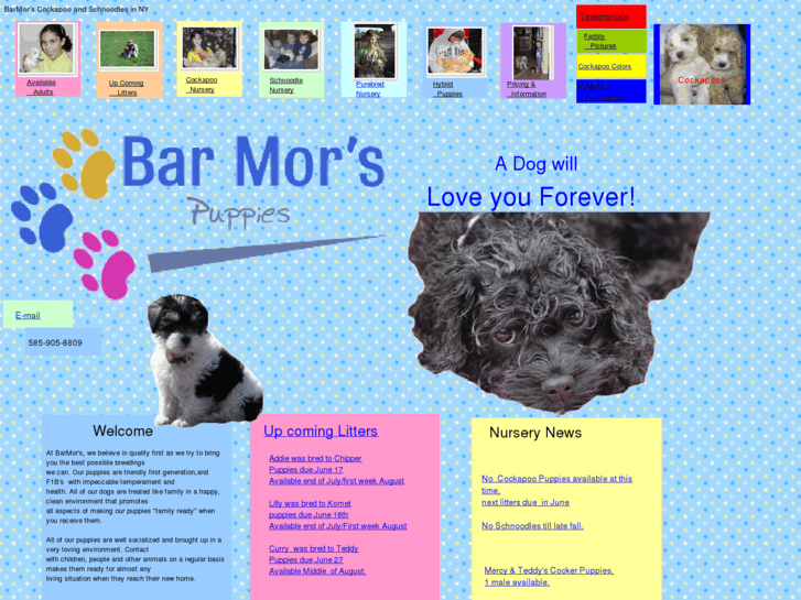 www.barmorkennels.com