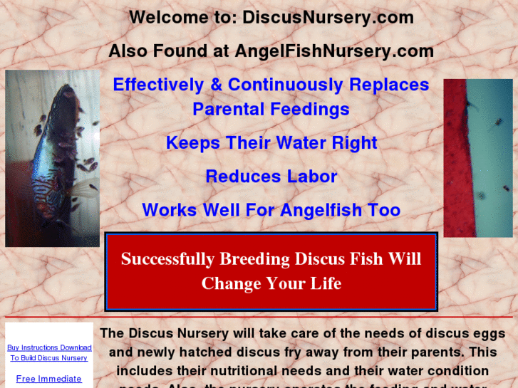 www.discusnursery.com