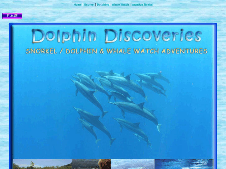 www.dolphindiscoveries.com